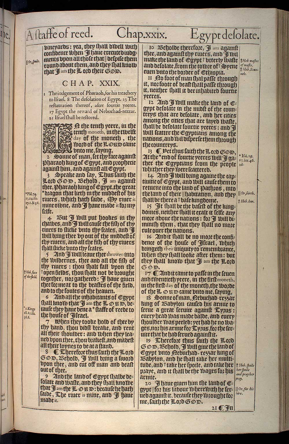 Ezekiel Chapter 29 Original 1611 Bible Scan