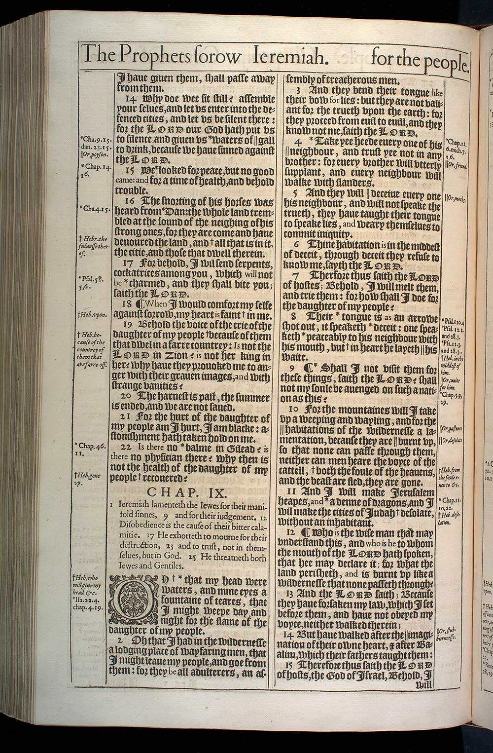 Jeremiah Chapter 9 Original 1611 Bible Scan