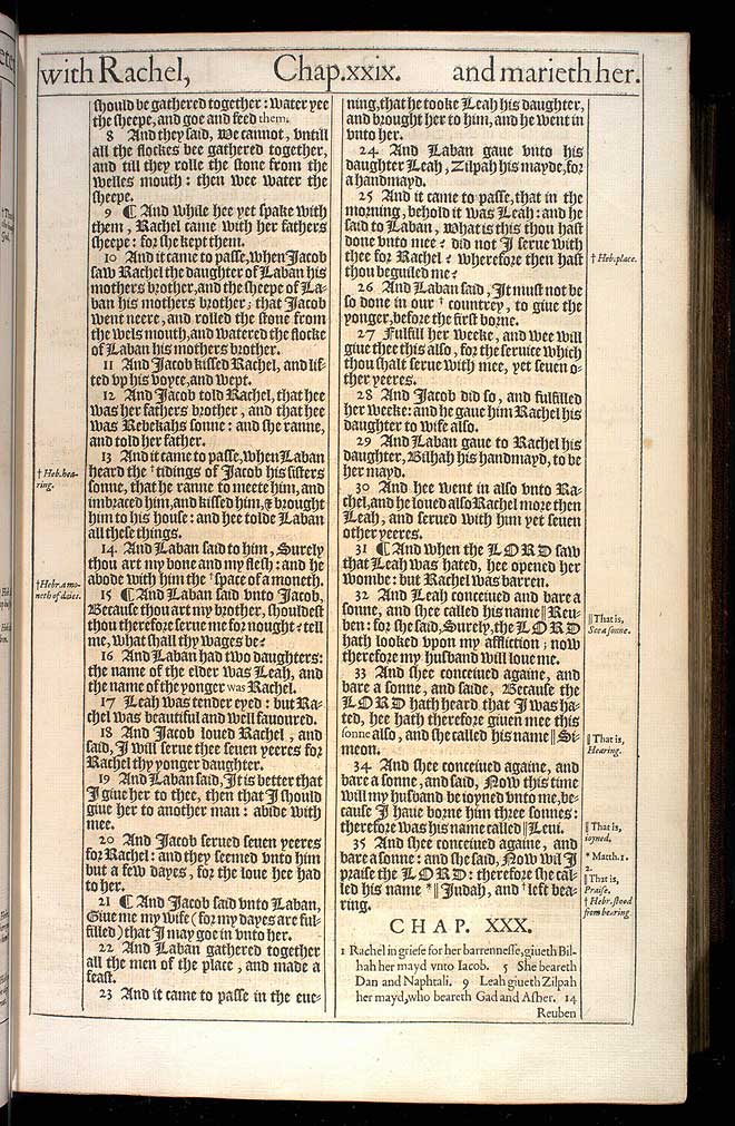Genesis Chapter 29 Original 1611 Bible Scan