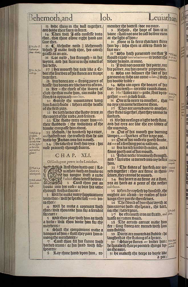 Job Chapter 41 Original 1611 Bible Scan