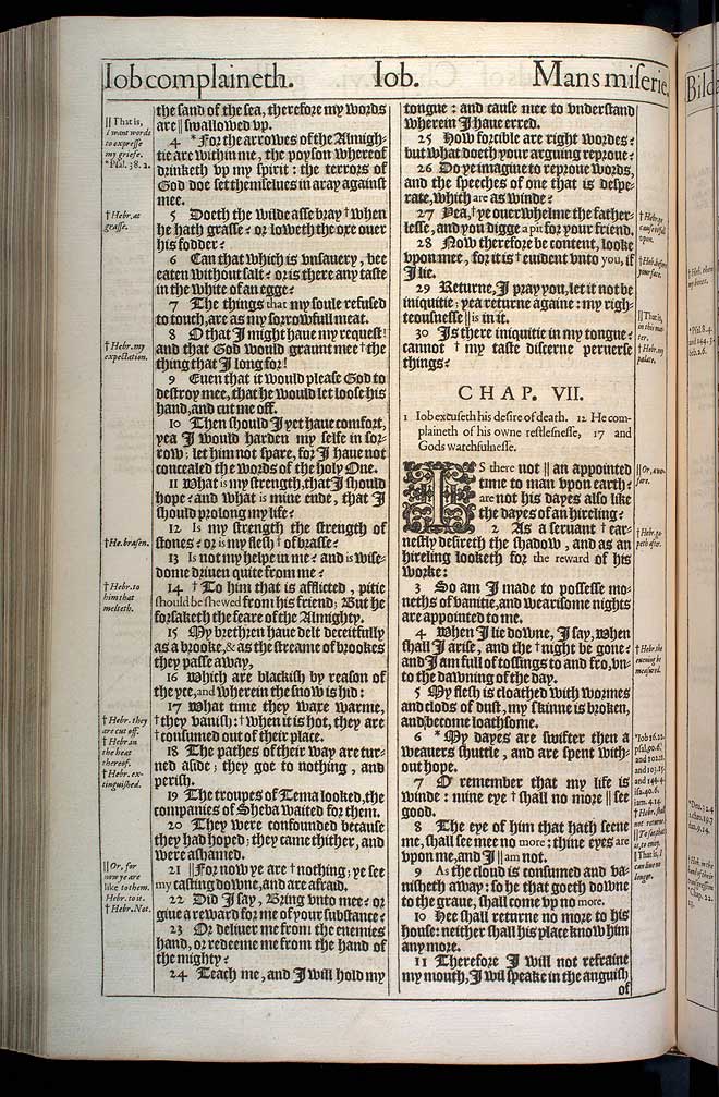 Job Chapter 6 Original 1611 Bible Scan