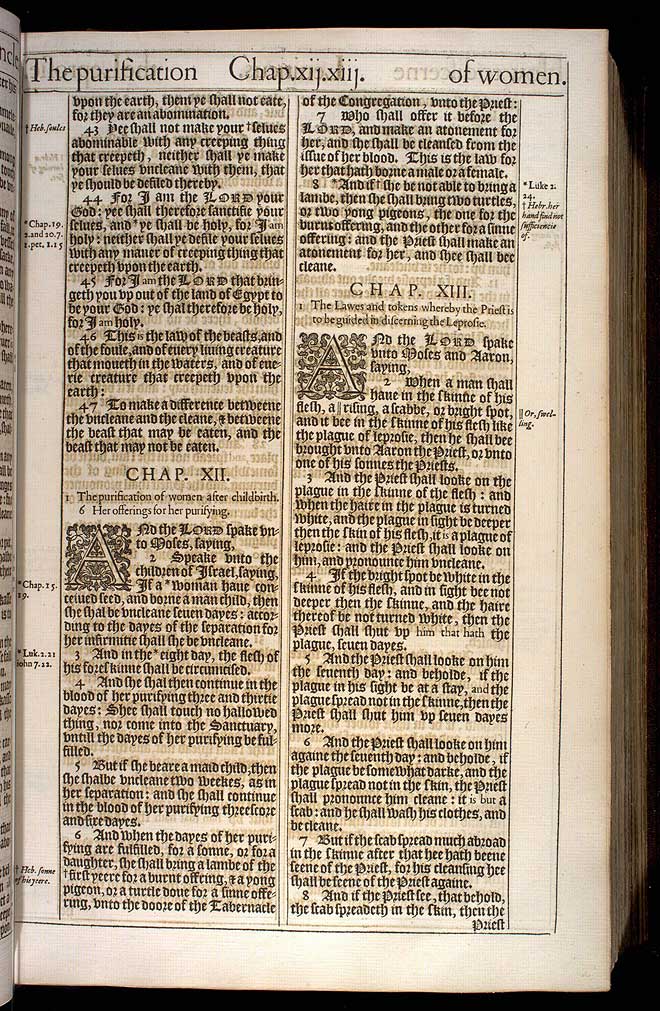 Leviticus Chapter 11 Original 1611 Bible Scan