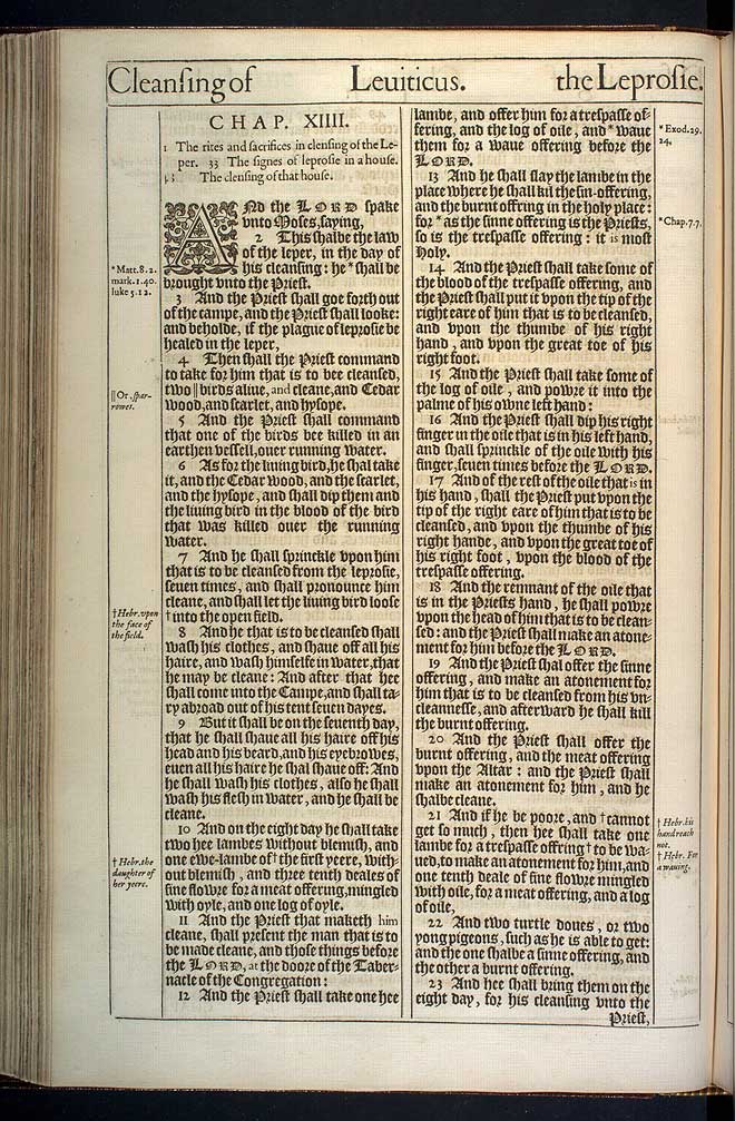 Leviticus Chapter 14 Original 1611 Bible Scan
