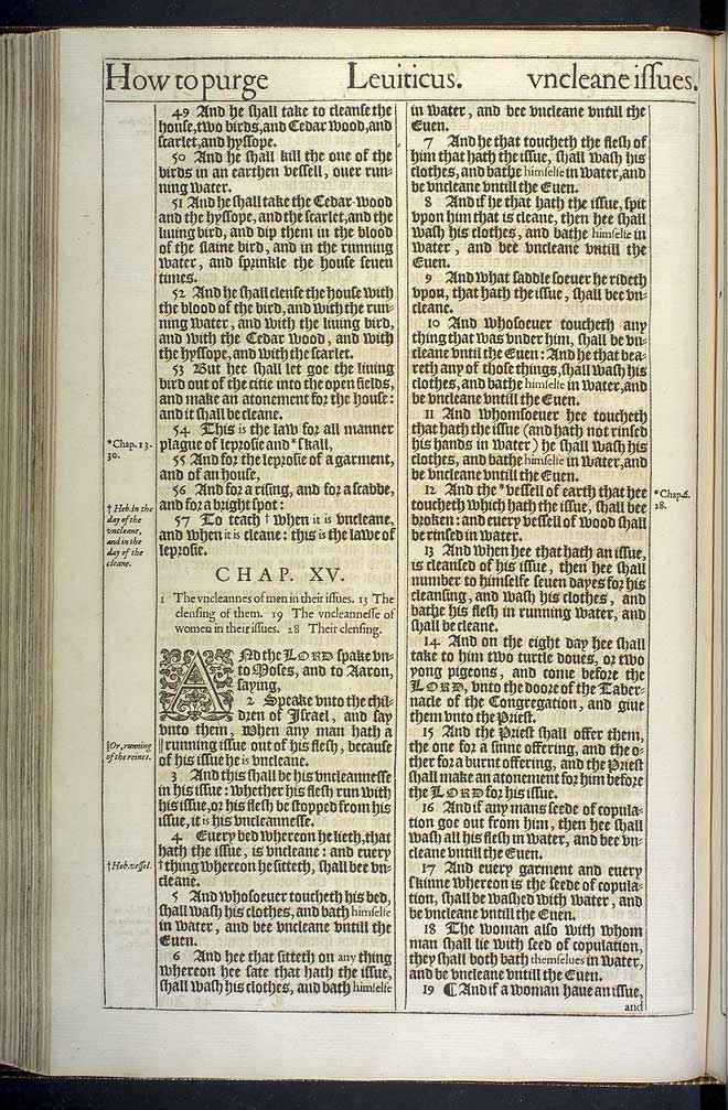 Leviticus Chapter 14 Original 1611 Bible Scan