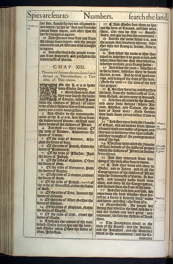 Numbers Chapter 12 Original 1611 Bible Scan