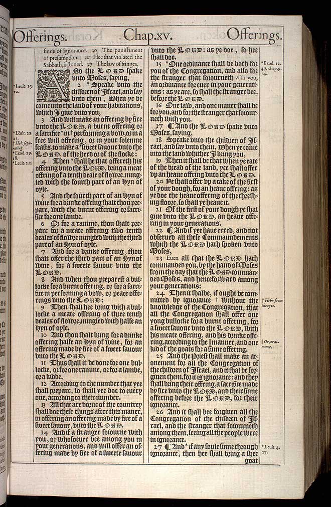 Numbers Chapter 15 Original 1611 Bible Scan