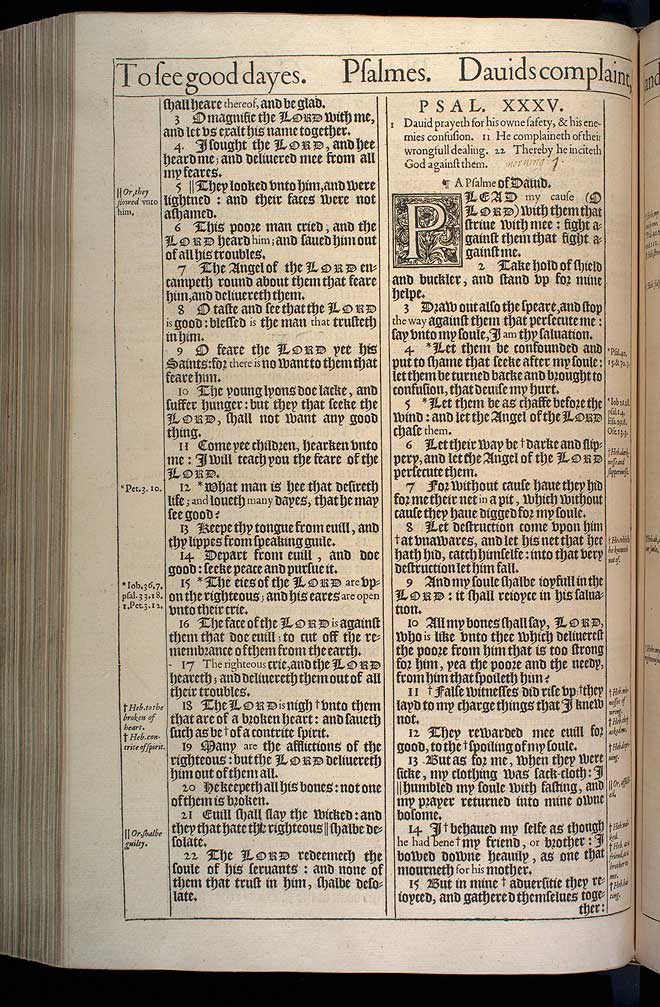 Psalms Chapter 35 Original 1611 Bible Scan