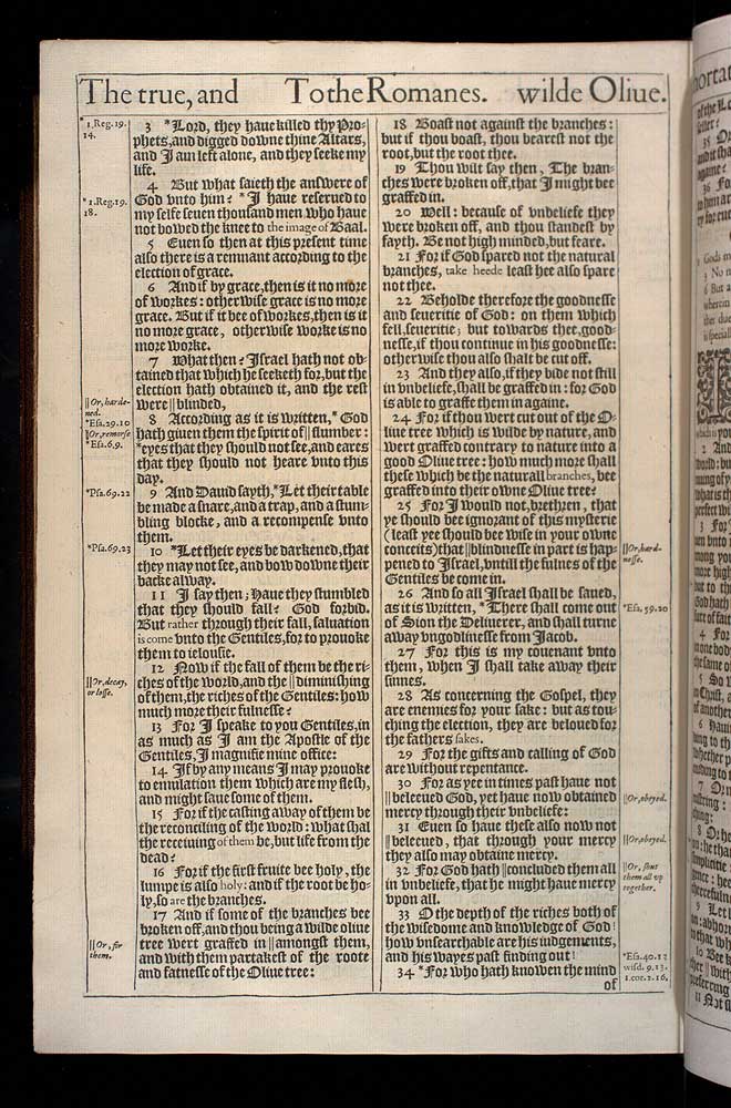 Romans Chapter 11 Original 1611 Bible Scan