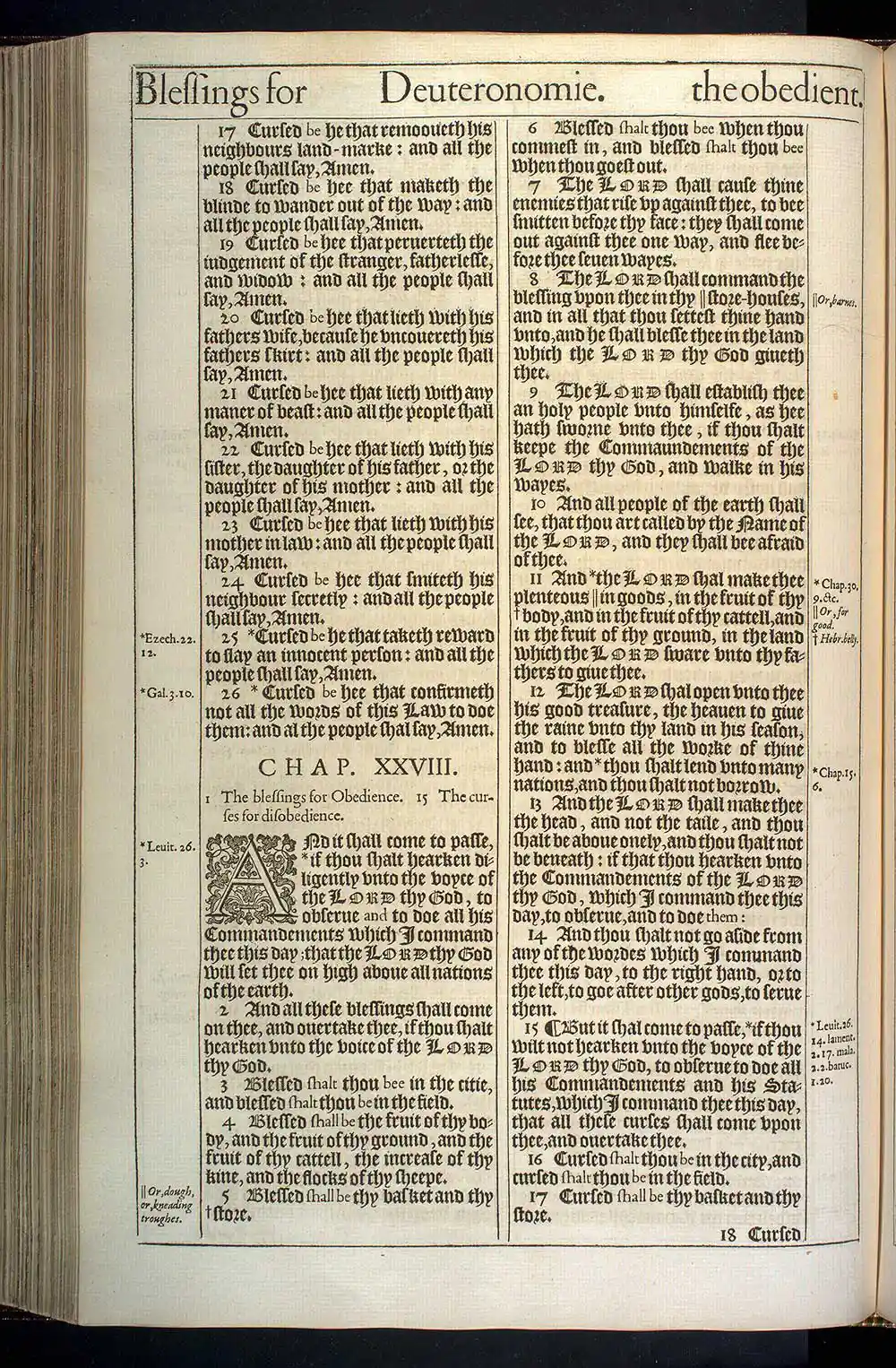Deuteronomy Chapter 28 Original 1611 KJV Bible Scan
