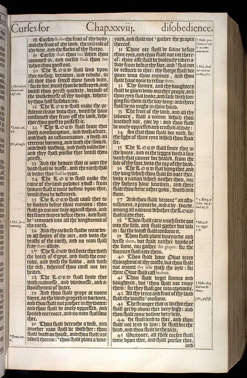Deuteronomy Chapter 28 Original 1611 KJV Bible Scan