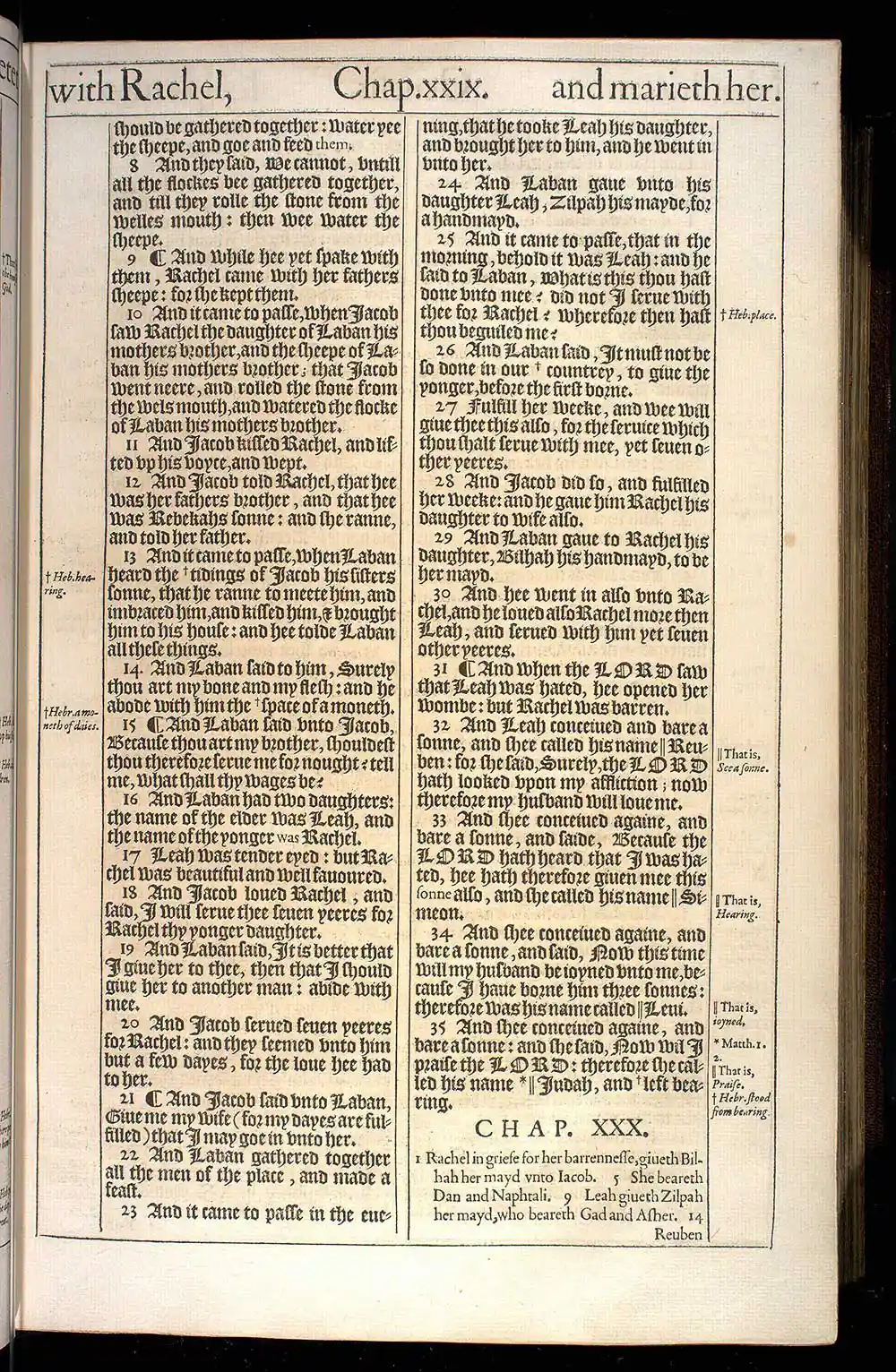 Genesis Chapter 29 Original 1611 KJV Bible Scan