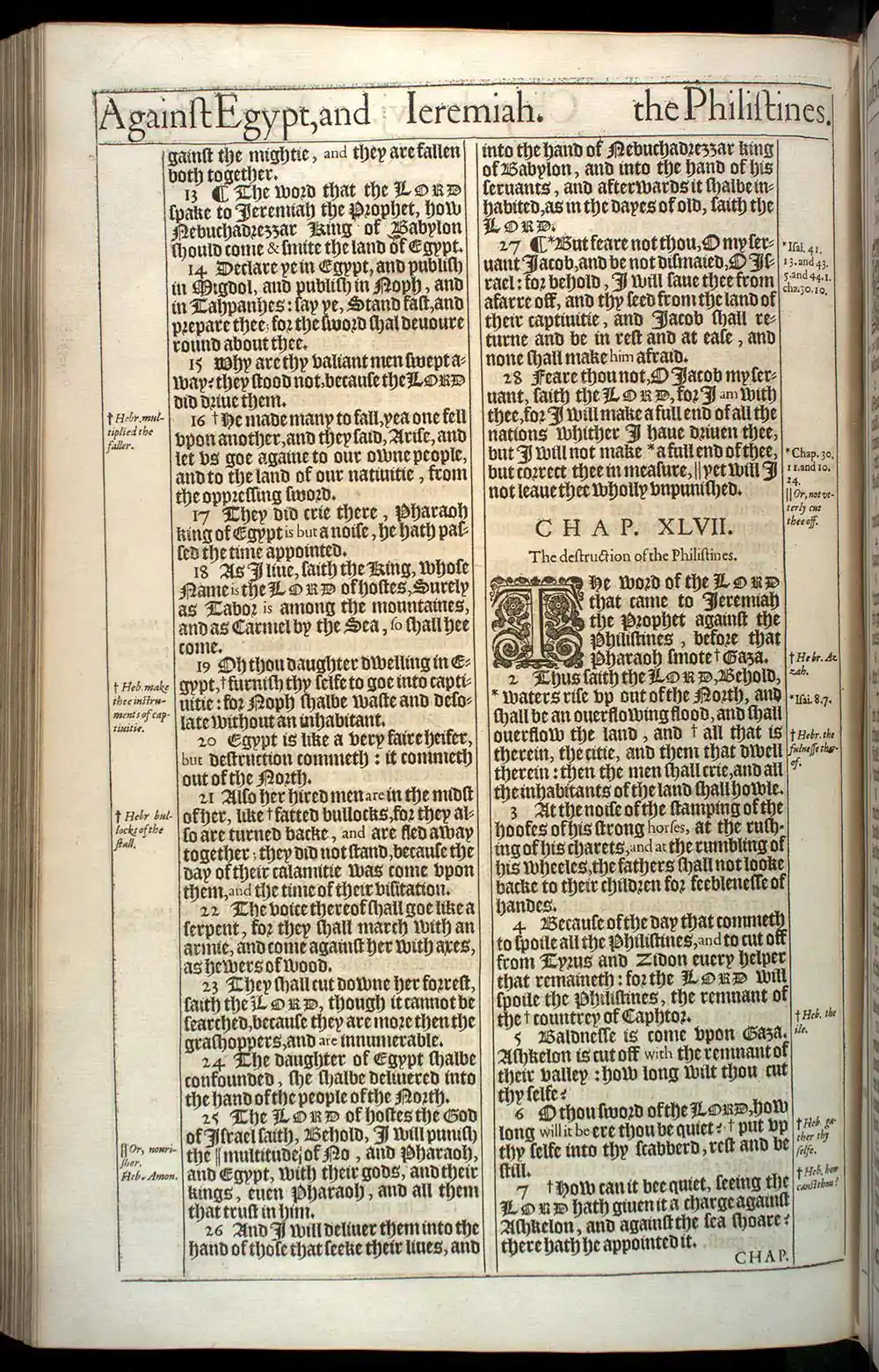Jeremiah Chapter 46 Original 1611 KJV Bible Scan