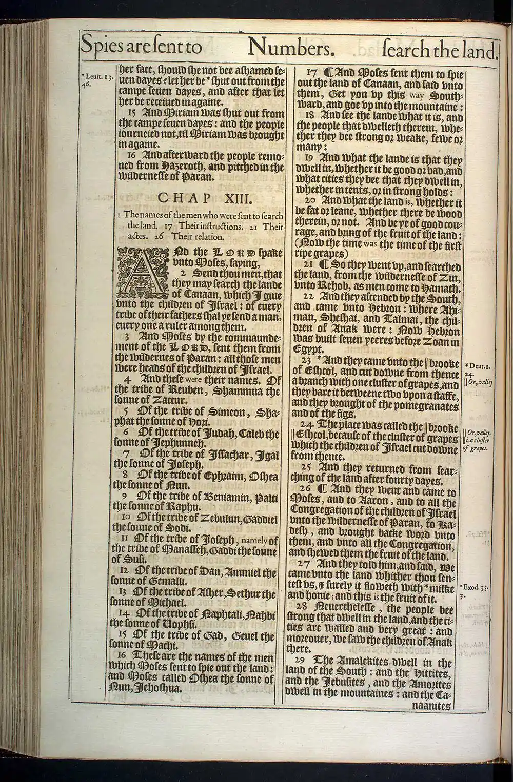 Numbers Chapter 12 Original 1611 KJV Bible Scan