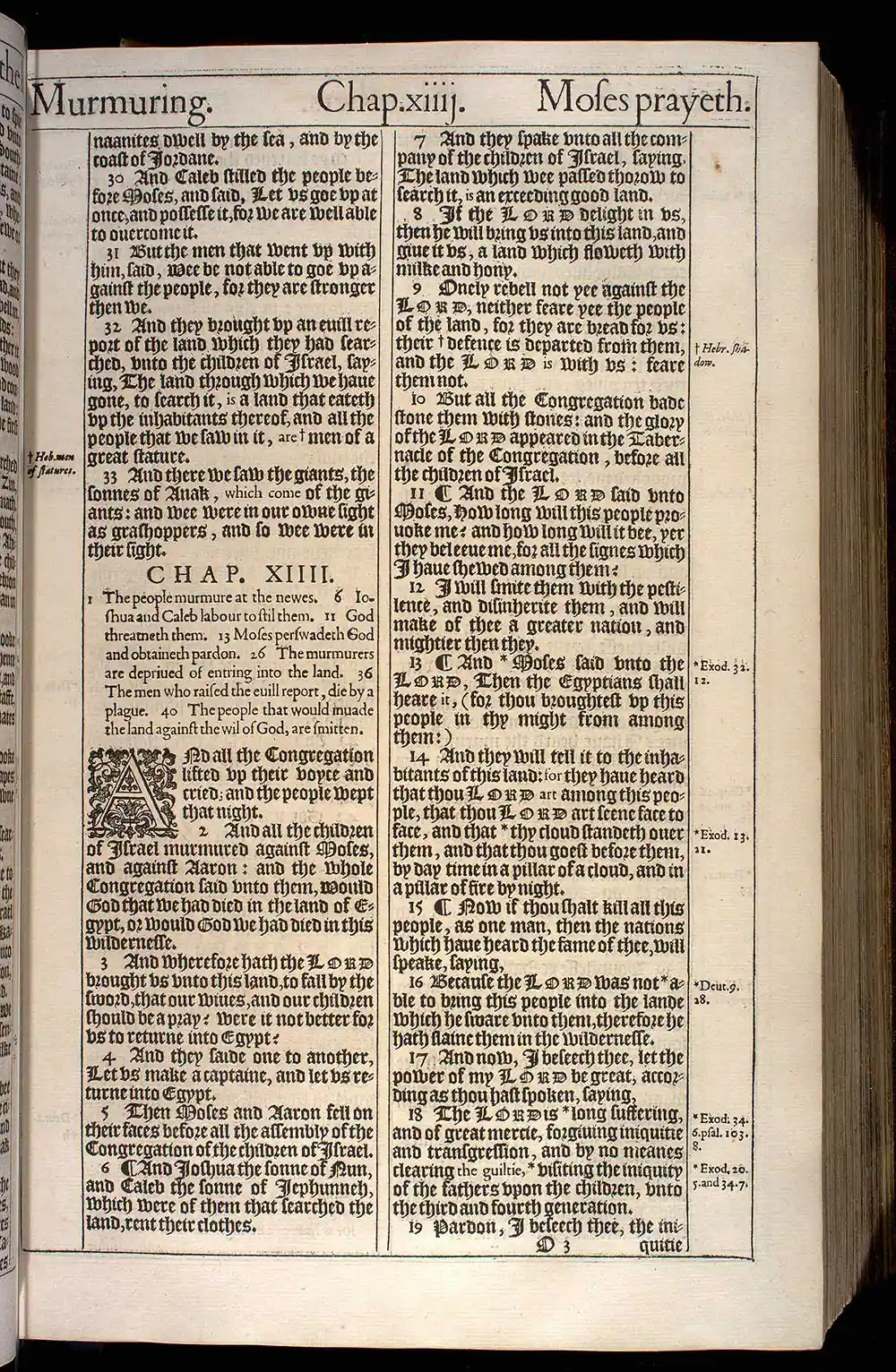 Numbers Chapter 14 Original 1611 KJV Bible Scan