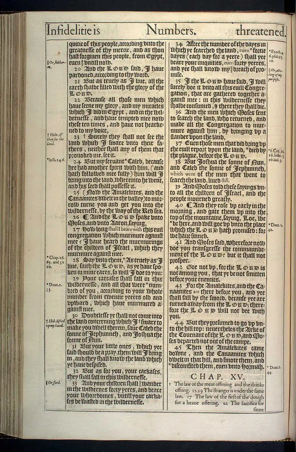 Numbers Chapter 14 Original 1611 KJV Bible Scan