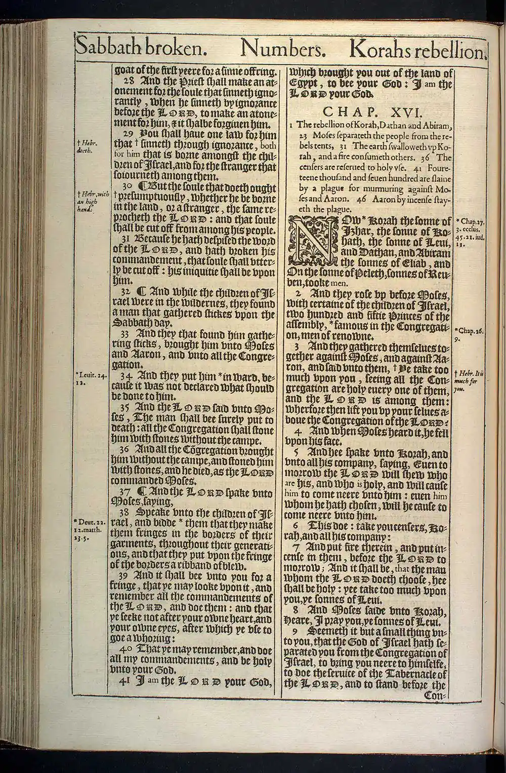 Numbers Chapter 15 Original 1611 KJV Bible Scan