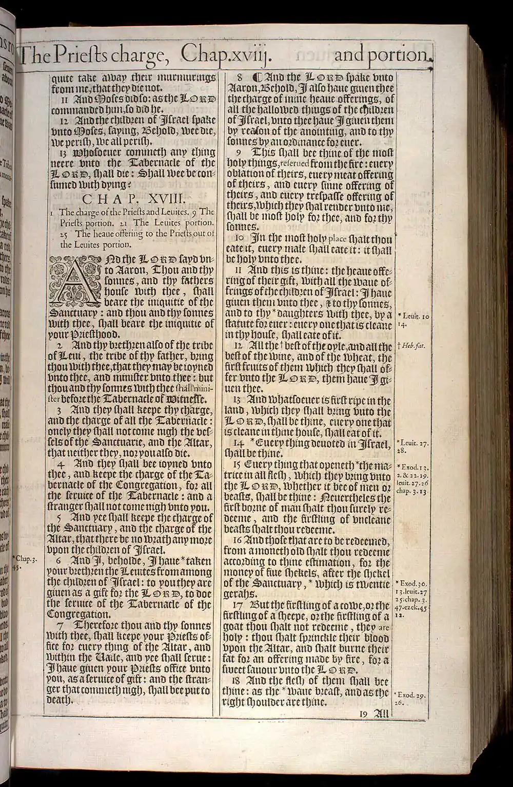 Numbers Chapter 17 Original 1611 KJV Bible Scan