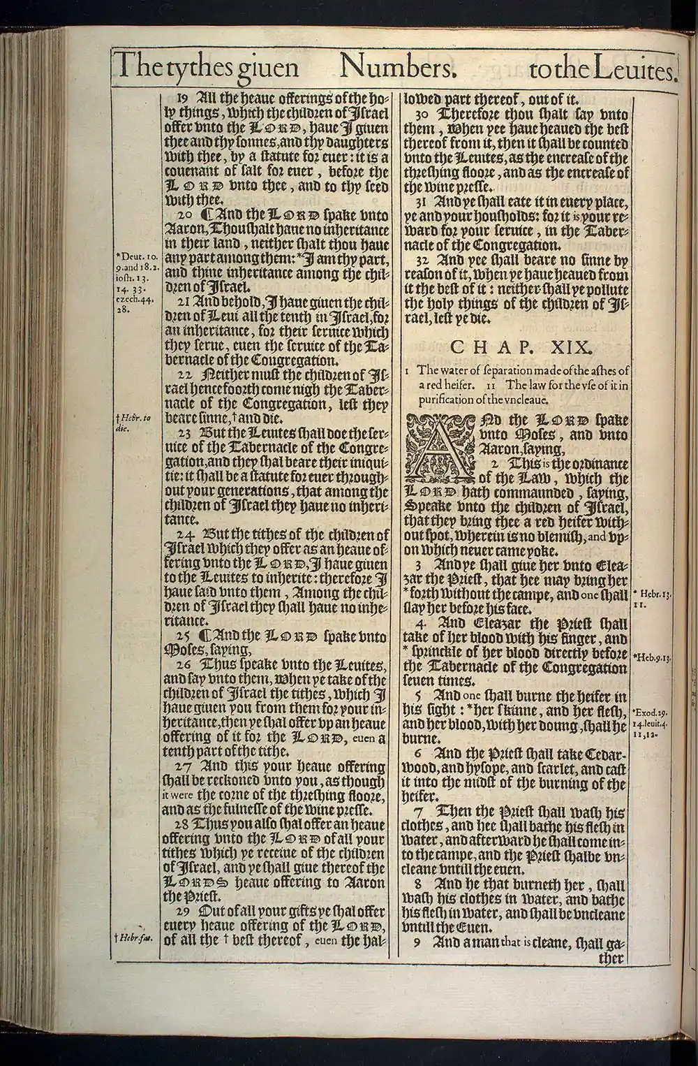 Numbers Chapter 19 Original 1611 KJV Bible Scan