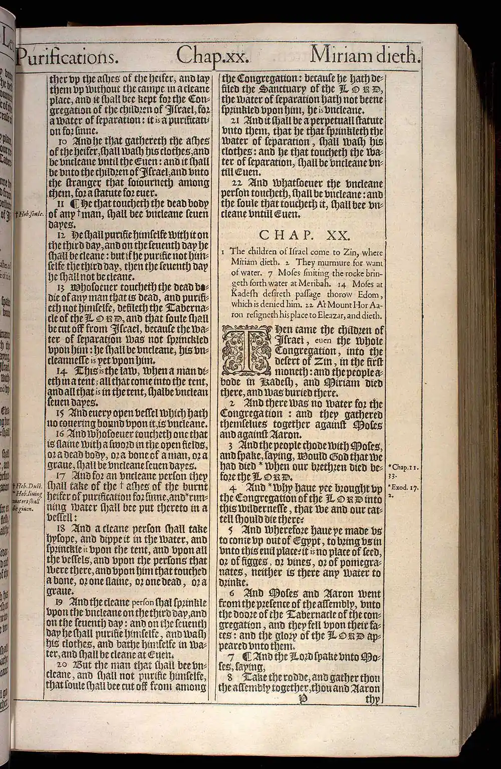 Numbers Chapter 19 Original 1611 KJV Bible Scan