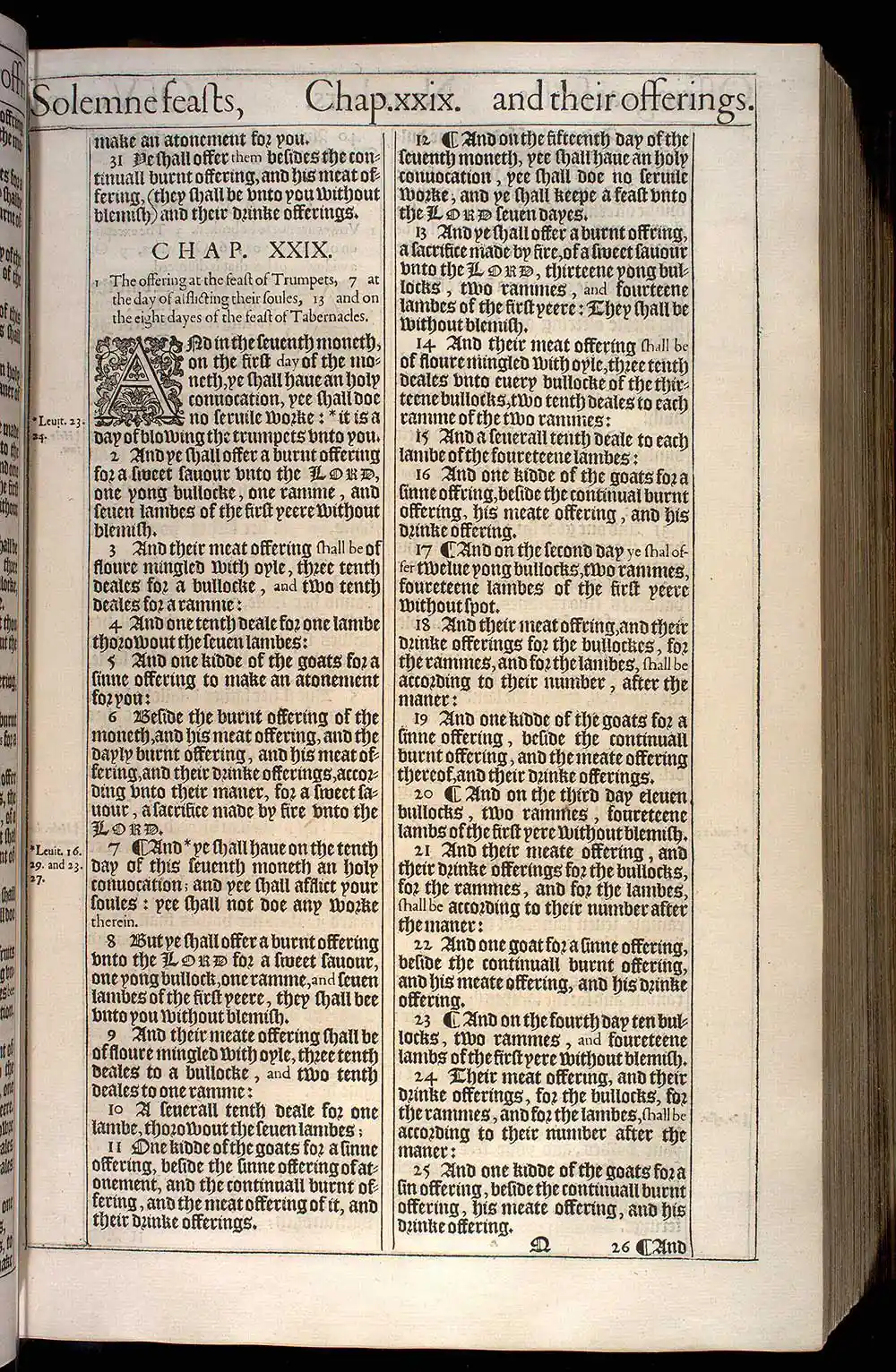 Numbers Chapter 29 Original 1611 KJV Bible Scan