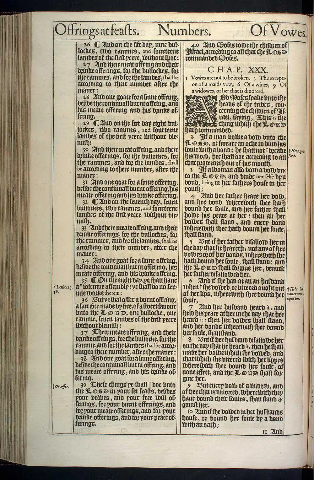 Numbers Chapter 29 Original 1611 KJV Bible Scan