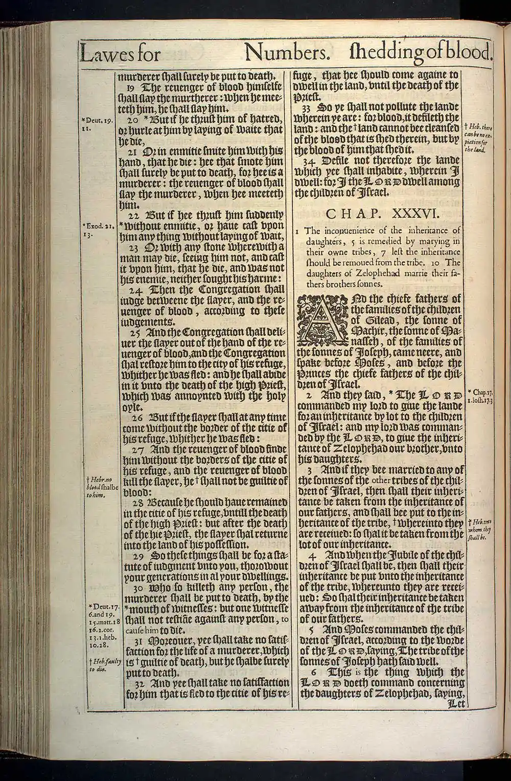 Numbers Chapter 36 Original 1611 KJV Bible Scan